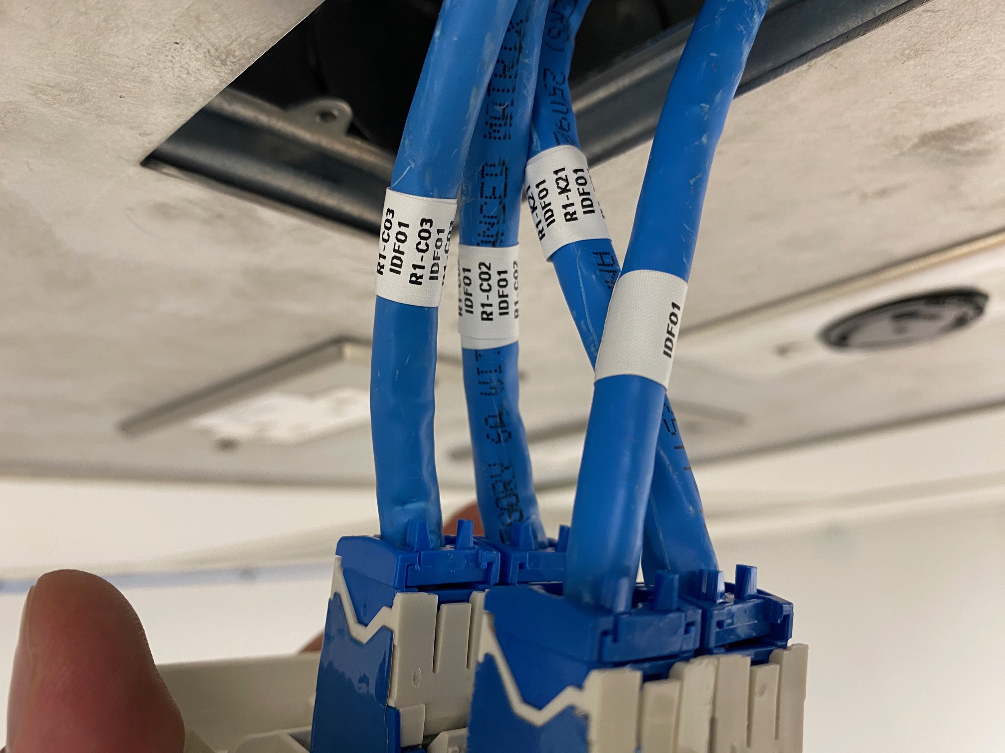 Proyecto 3 - Imagen 2